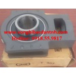 GỐI ĐỠ UCT209